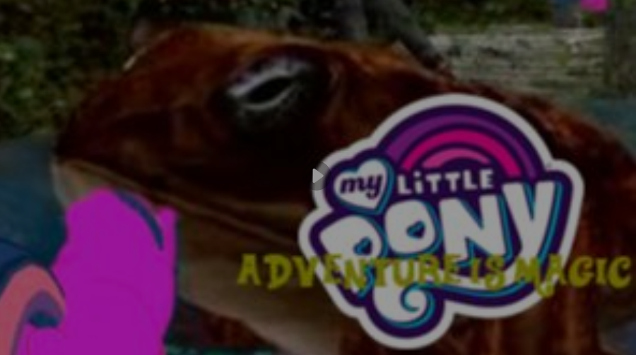 My litle pony adventure is magic